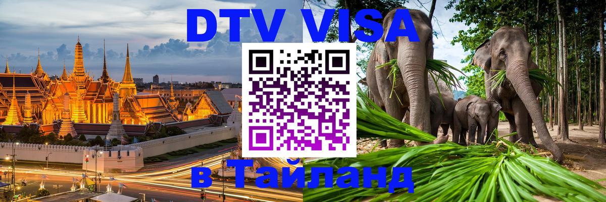 Оформление DTV визы под ключ: стоимость и тарифы, только загранпаспорт - 